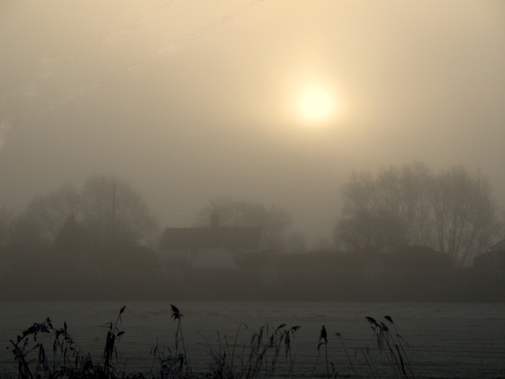 Misty morning