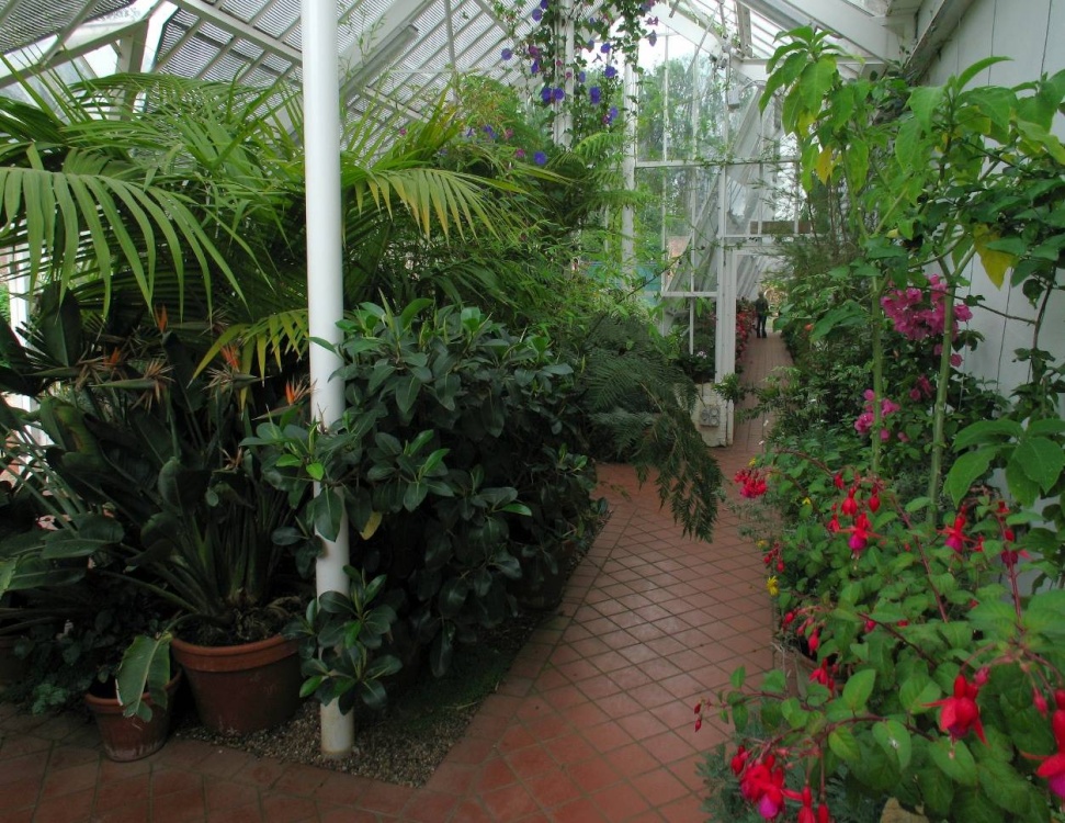 Photograph of Normanby Hall 2