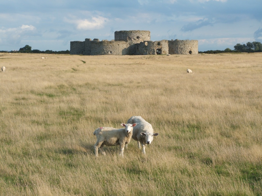 Camber Castle