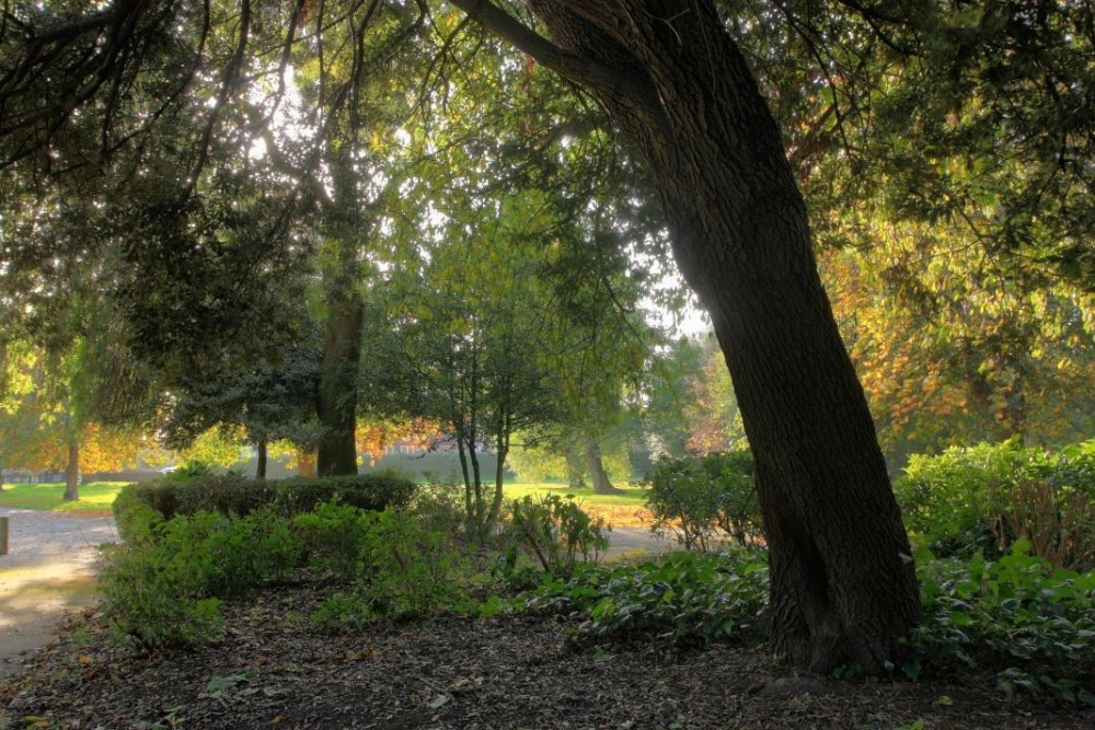 Pickering Park, Autumn