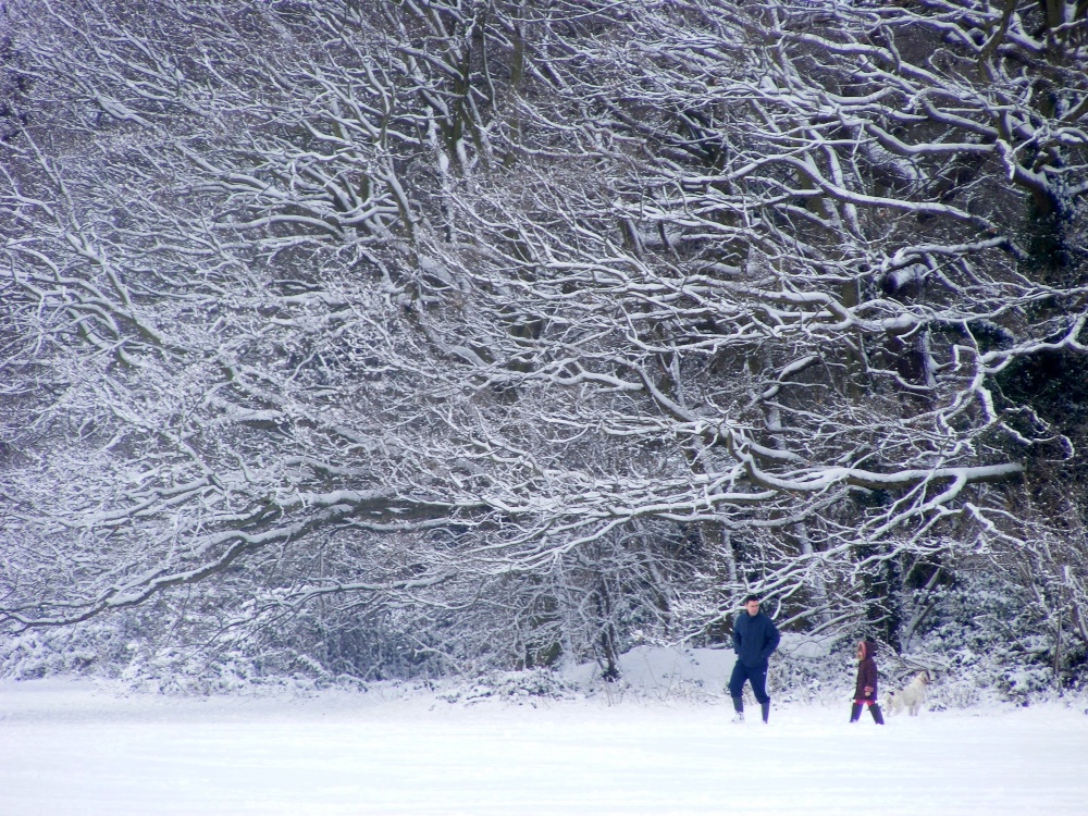 Snow, Eastcote village