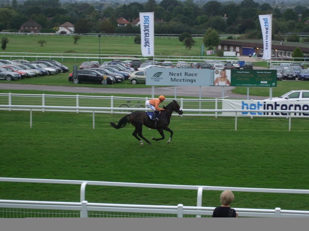 Photograph of A picture of Esher