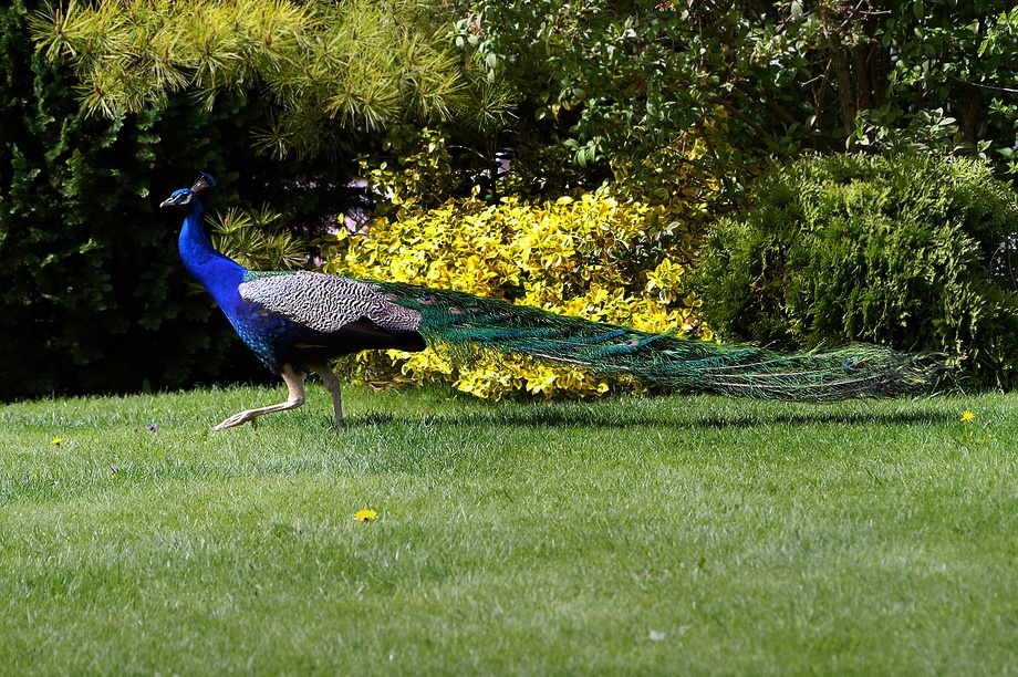 What a great visitor.