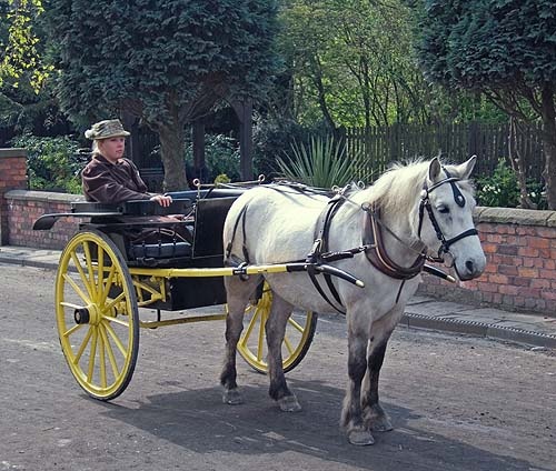Dogcart at Blists Hill, Shropshire