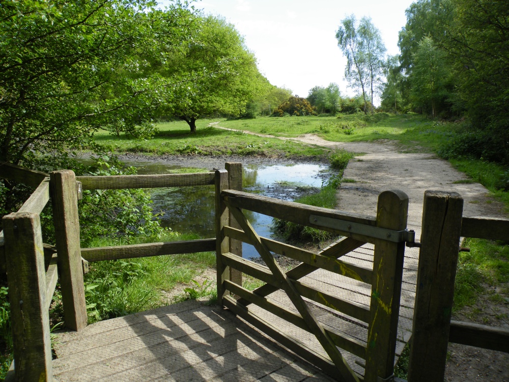 "Ruislip Common" by Chris Williams at