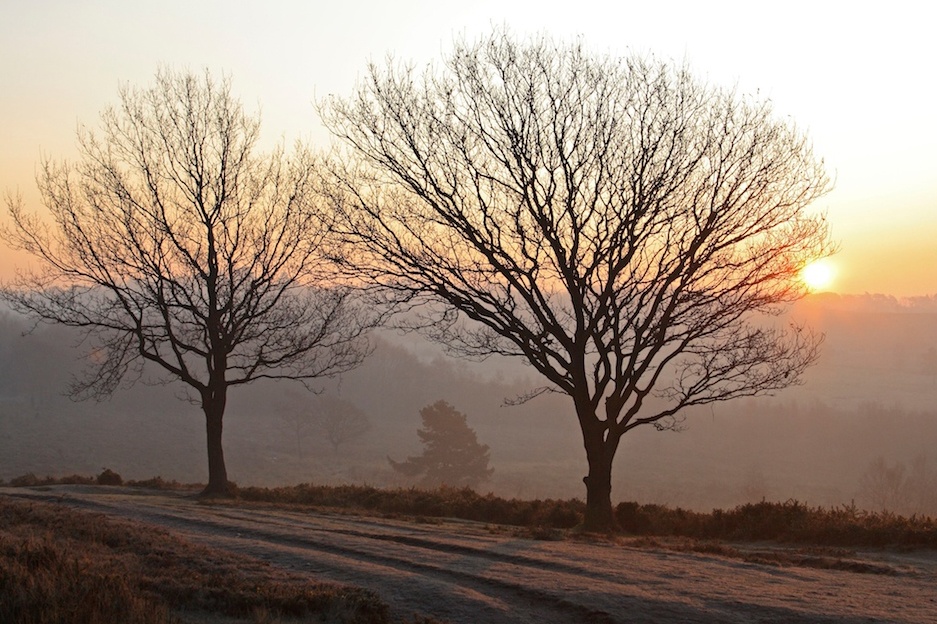 Photograph of Frosty Sunrise