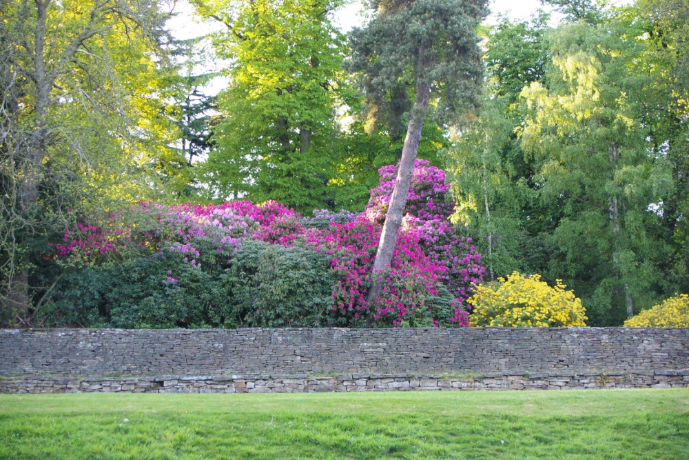 Cawthorne Park May 2009