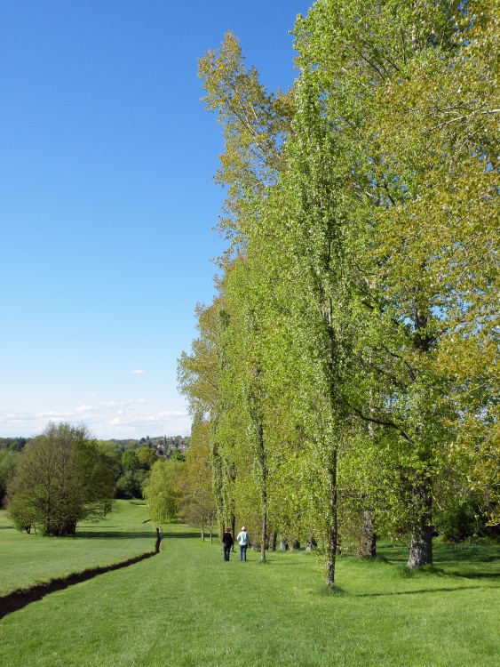 Haste Hill, Northwood Hills