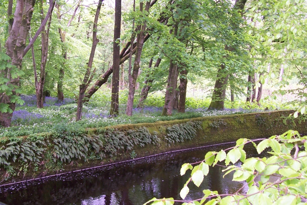 Photograph of River at Abbeystead
