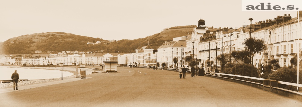 The seafront