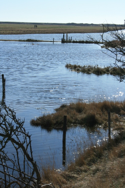 Lakes in the Cuckmere Estuary