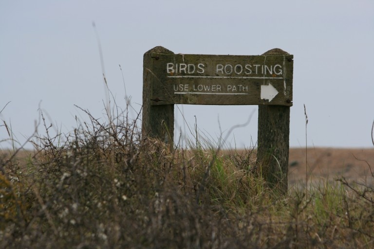 Birds Roosting Sign