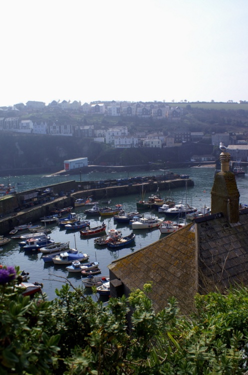 The inner Harbour from the hill.