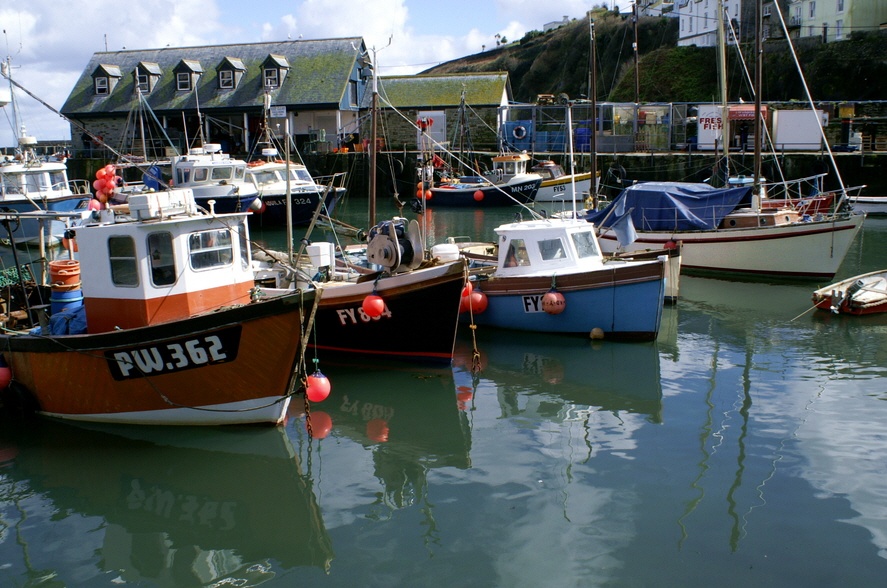 Mevagissey boats.