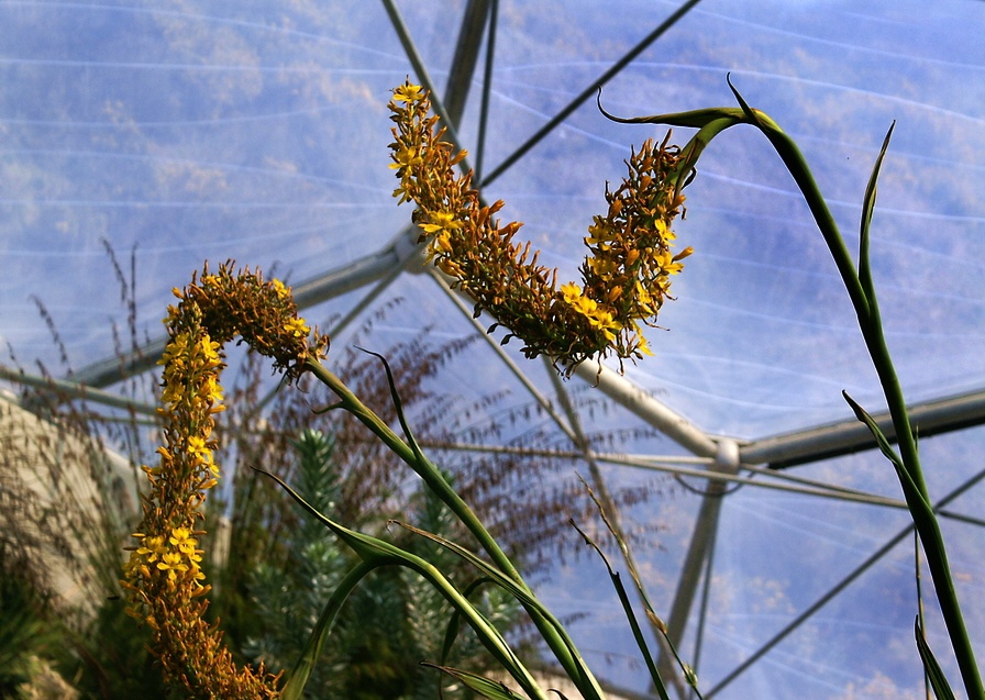 Looking up at the dome.
