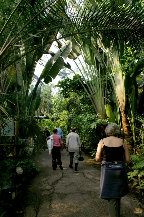 In the tropical rain forest.