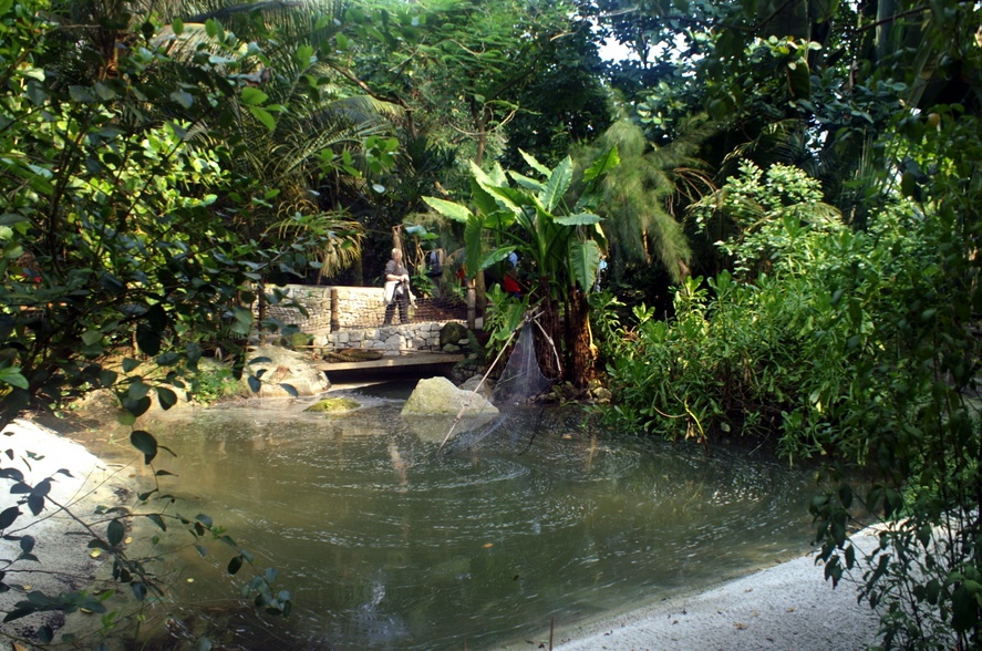 The lake in the tropical rain forest.