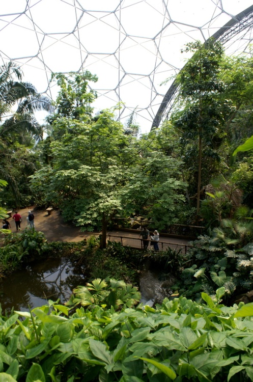Looking down on the lake.