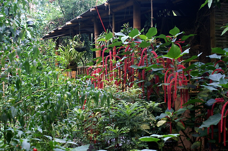 How's this for a front garden?