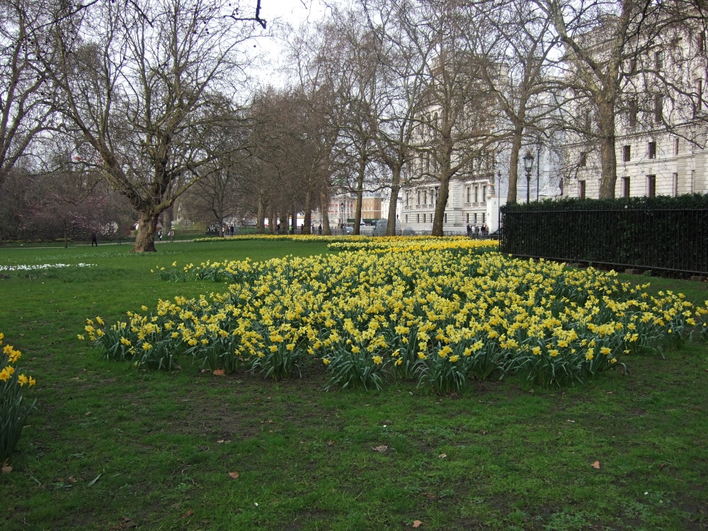St James's Park London