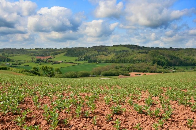 Teme Valley looking East