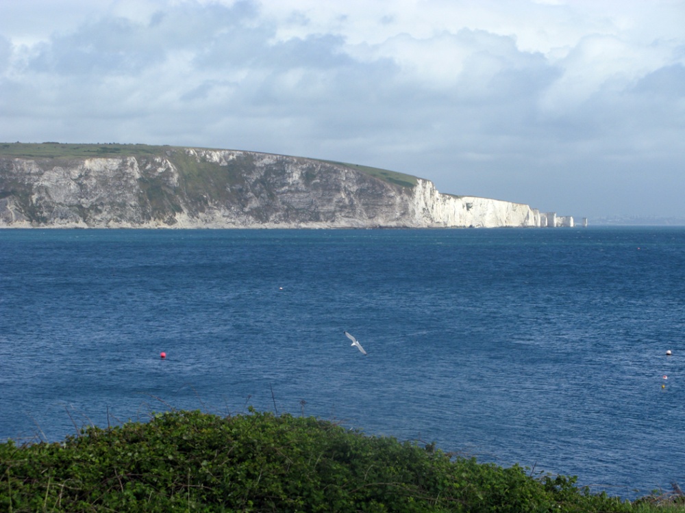 Old Harry Rocks