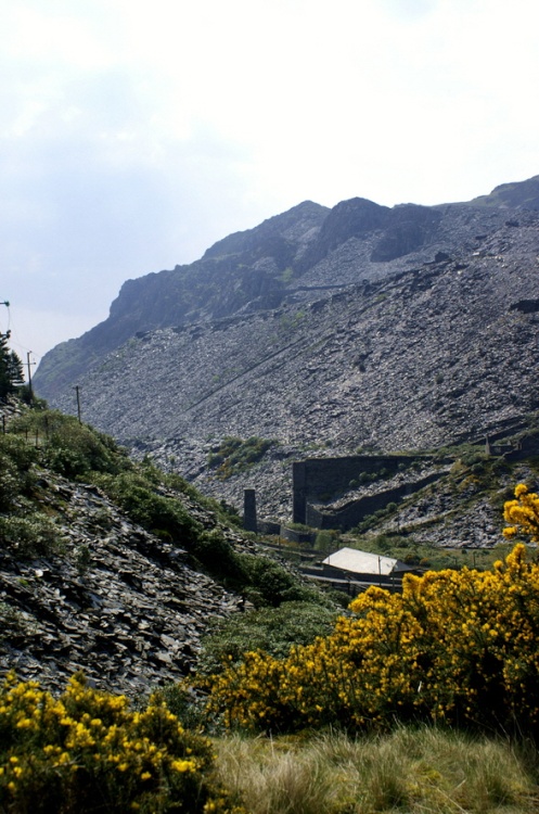 Waste turning the mountains black.