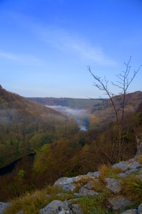 Wye Valley mist