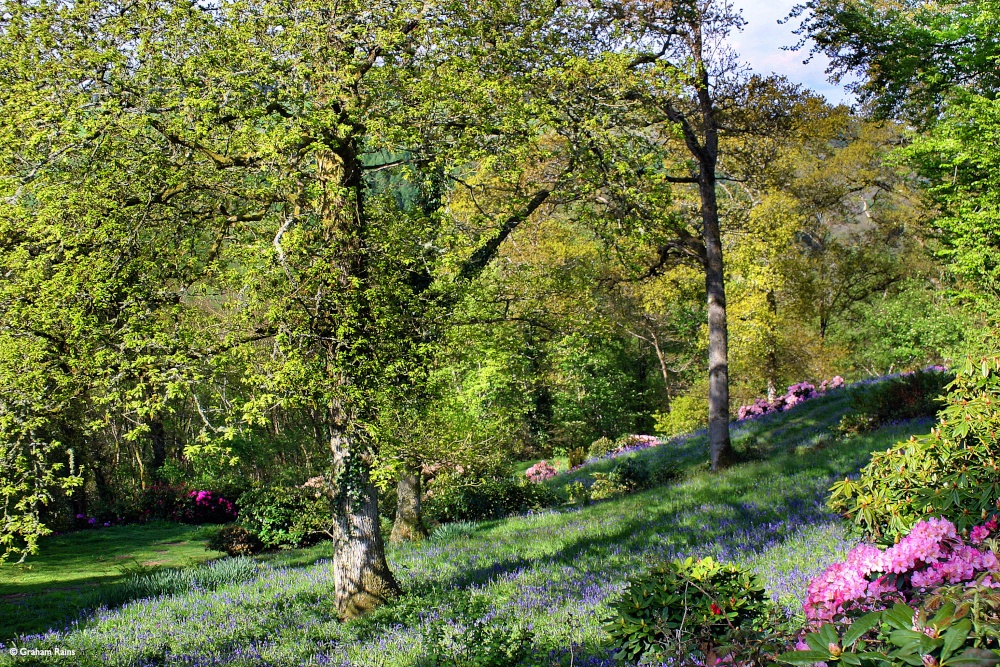 Photograph of Westbrook House, Bampton