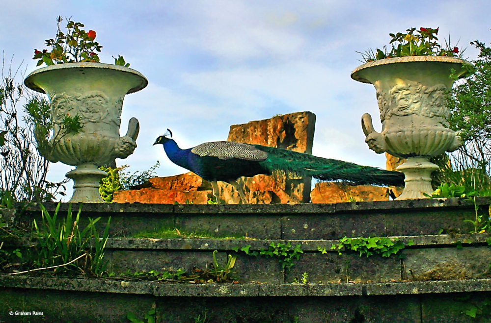 Photograph of Westbrook House, Bampton