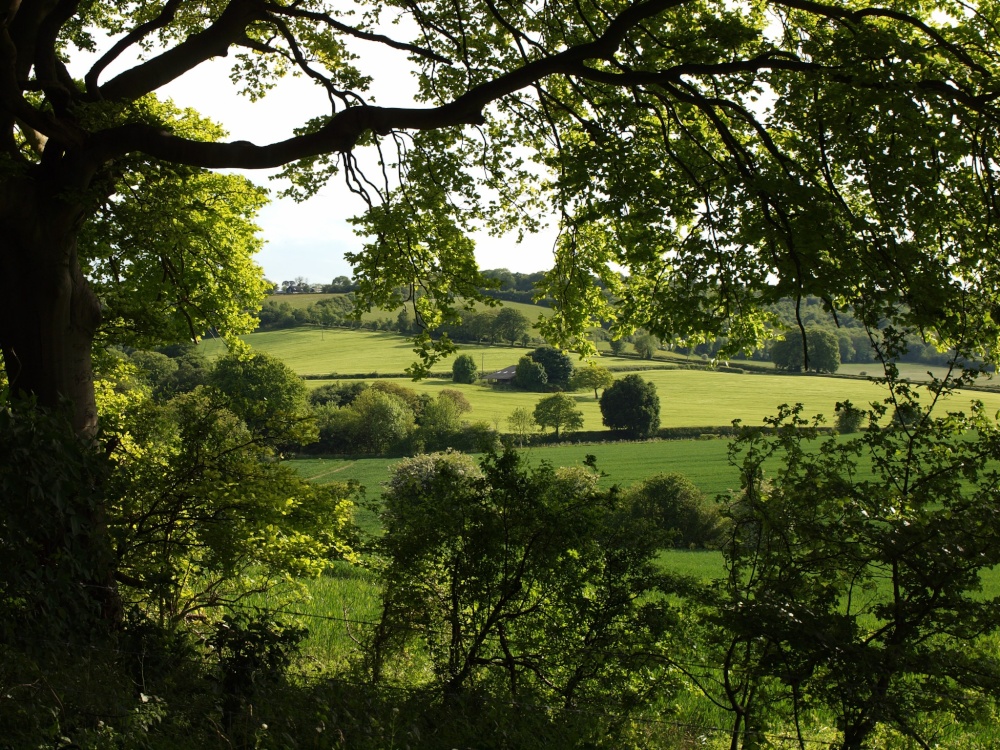 View to the South West from Lodge Hill, Bledlow Ridge, Bucks