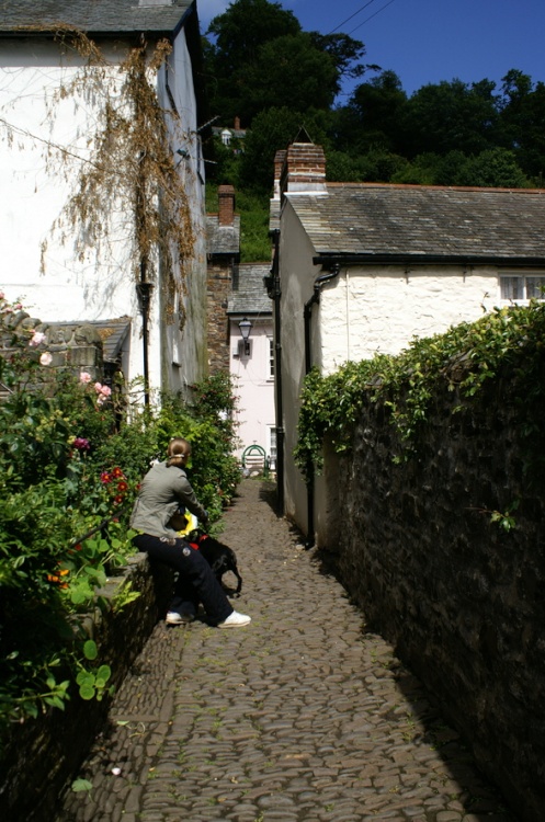 A lane between the houses.