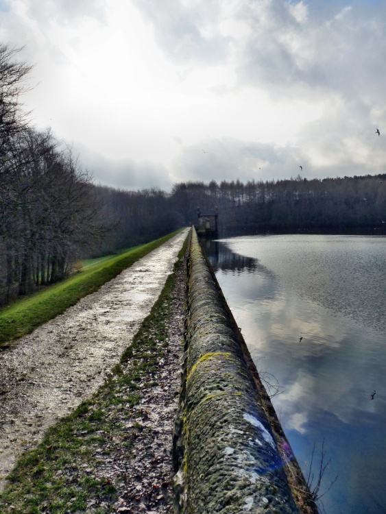 "One of the Reservoirs at Linacre Woods near Chesterfield" by Paul