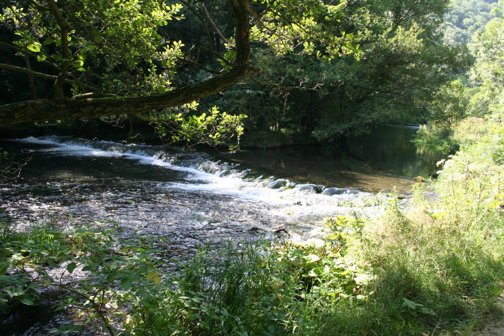 The River Dove August 2007