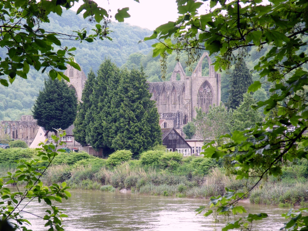 Photograph of Tintern Abbey