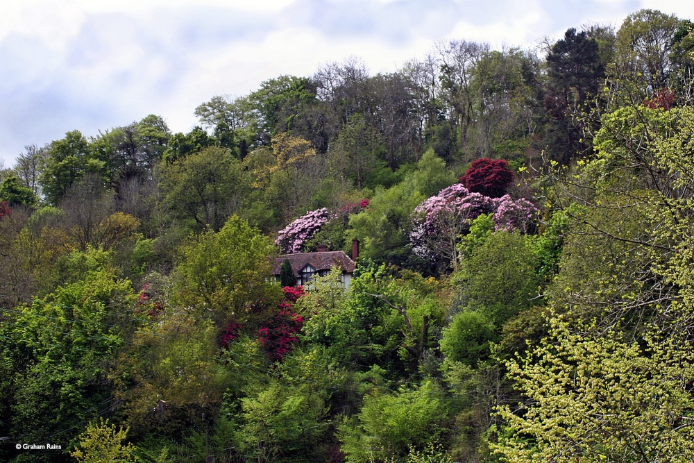 Photograph of The Edge of Exmoor
