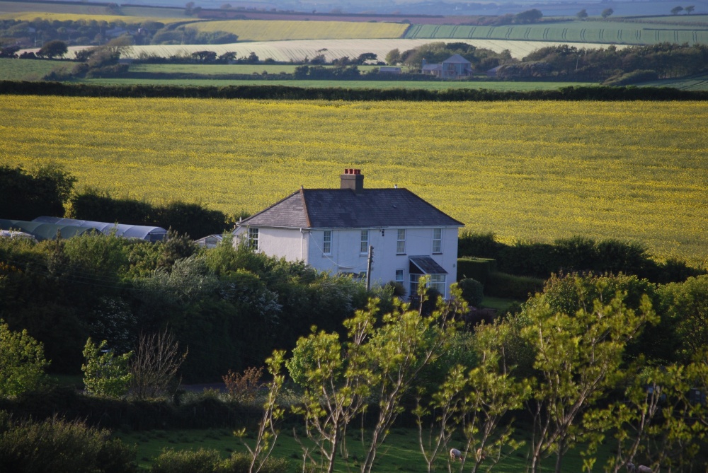 Photograph of A Malborough farm house
