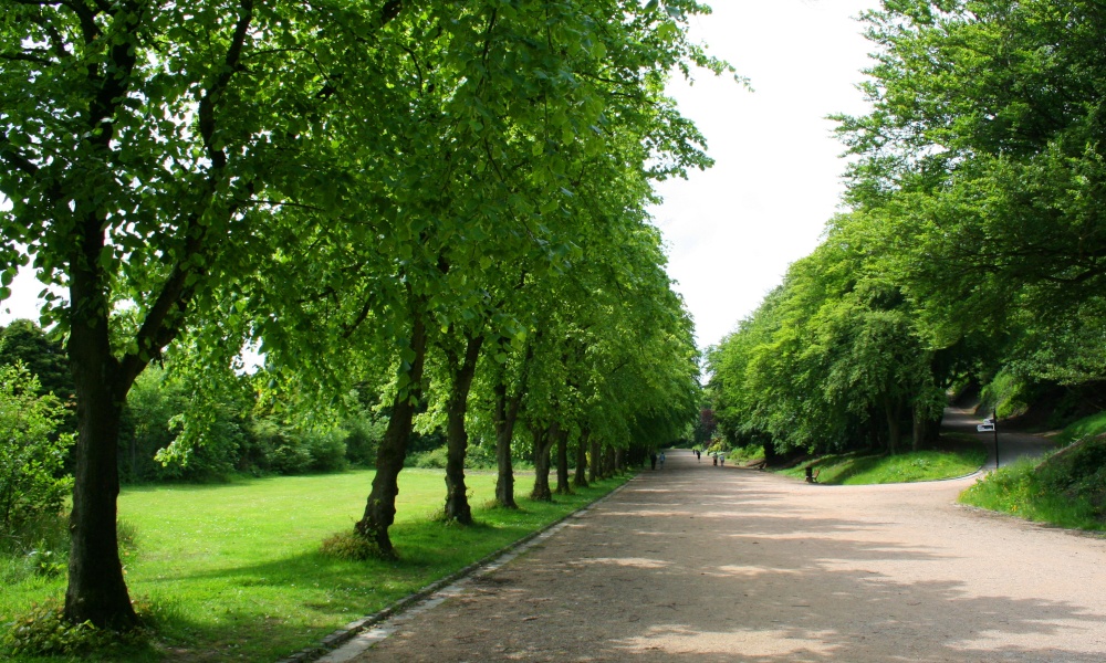 Corporation Park