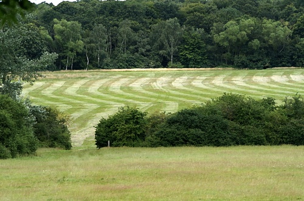 Freshly mown field.