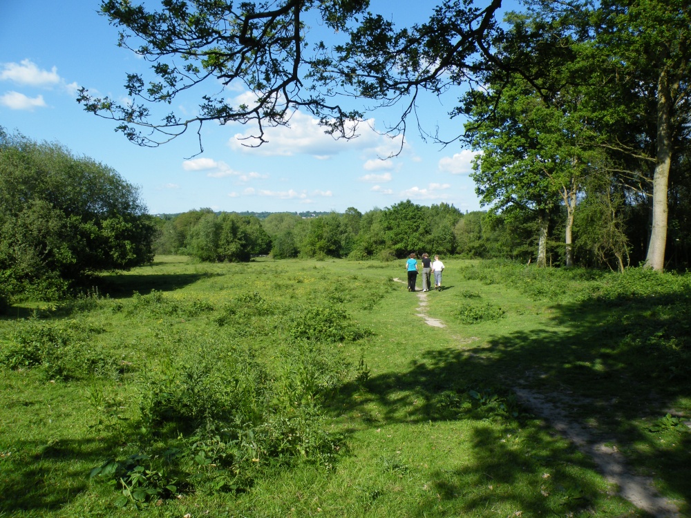 Ruislip Common