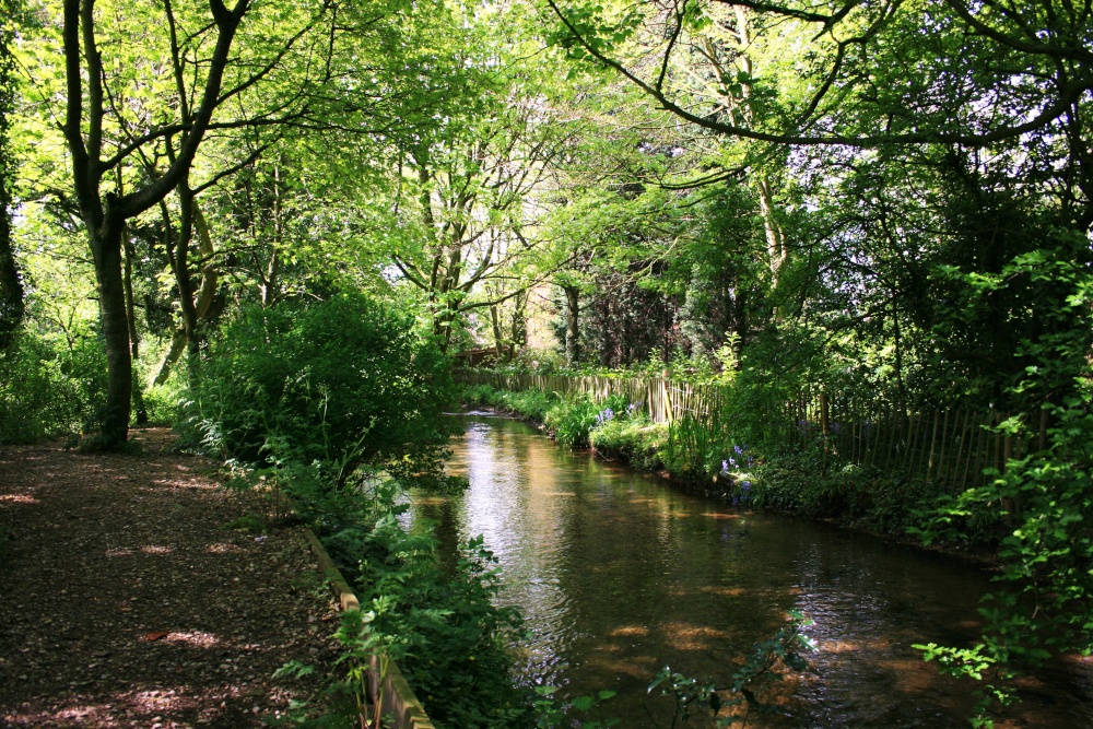 Pictures of North Cave, East Riding of Yorkshire, England England Photography & History