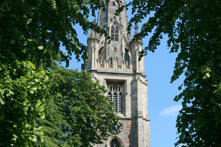 St Mary's Church through bushes