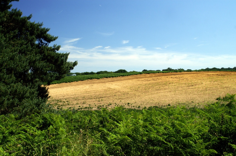 The farmland. photo by Peter Evans