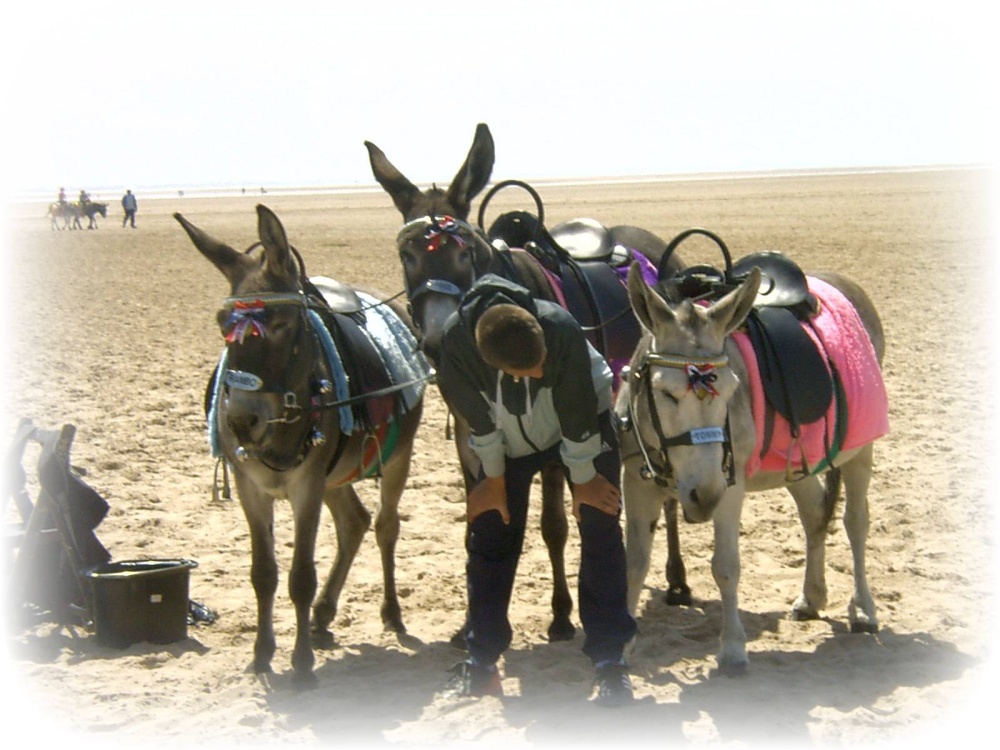 St Annes donkey rides