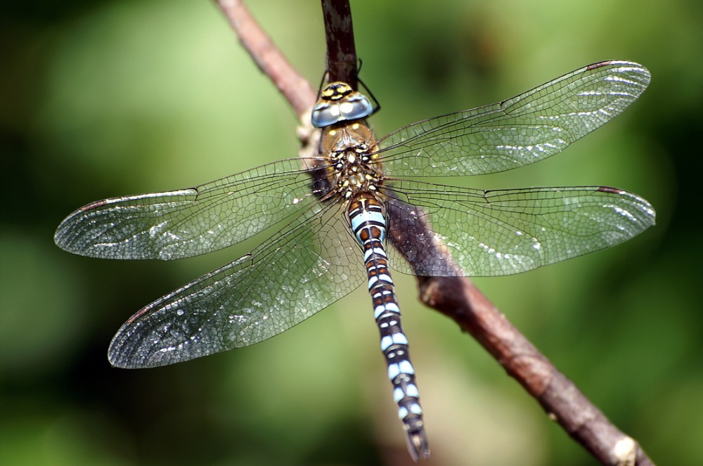Photograph of Quite a few about.