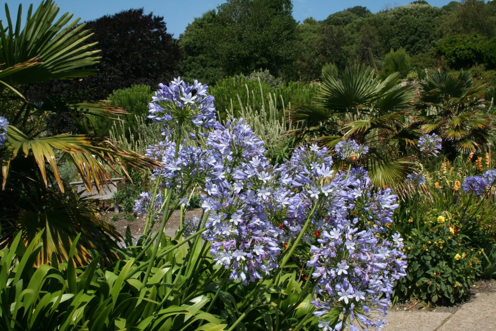 In the Botanic Gardens