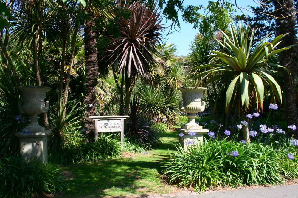 In the Botanic Gardens