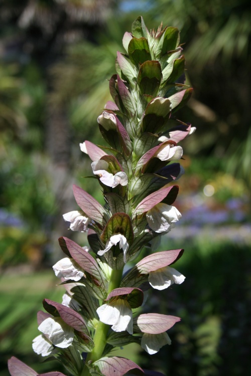 In the Botanic Gardens