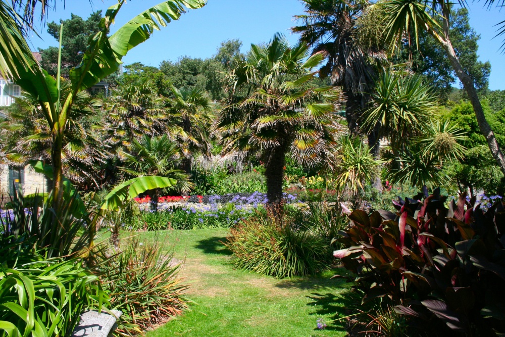 In the Botanic Gardens