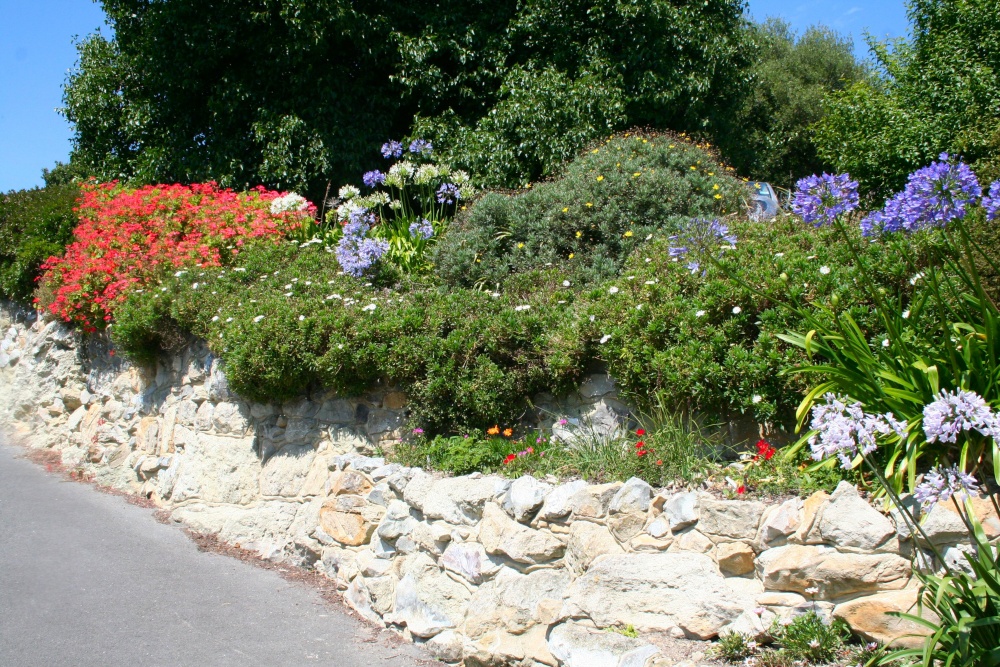 In the Botanic Gardens